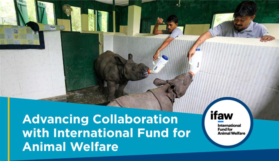 International Fund for Animal Welfare Collaboration International Fund for Animal Welfare Collaboration