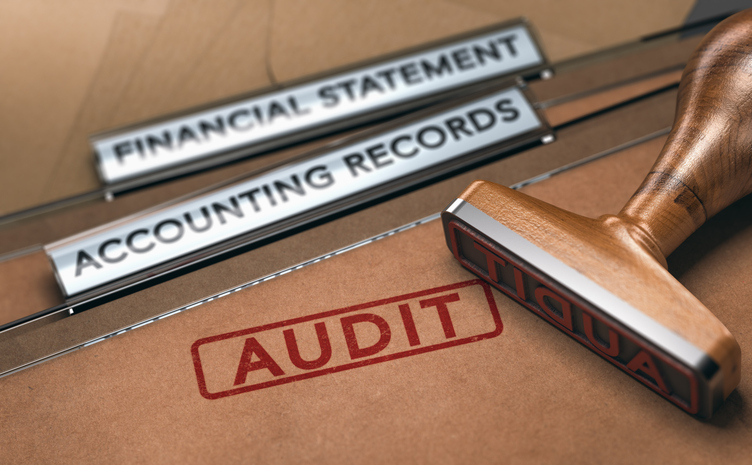 Hero image for Wise Giving Wednesday: Audited Financial Statements vs. IRS Form 990