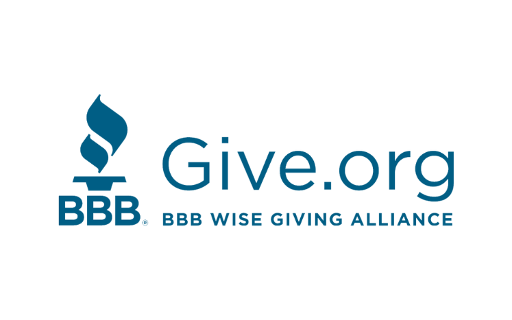 Thumbnail for BBB Wise Giving Alliance Launches Charity Standards Revision Project