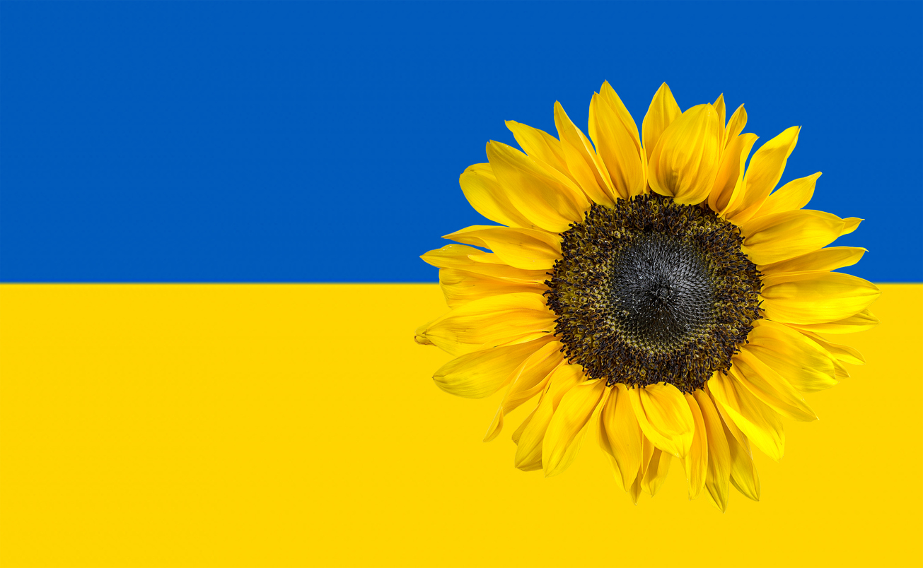 Thumbnail for Wise Giving Wednesday: From Books to Borscht, Retail Sales Helping Ukraine