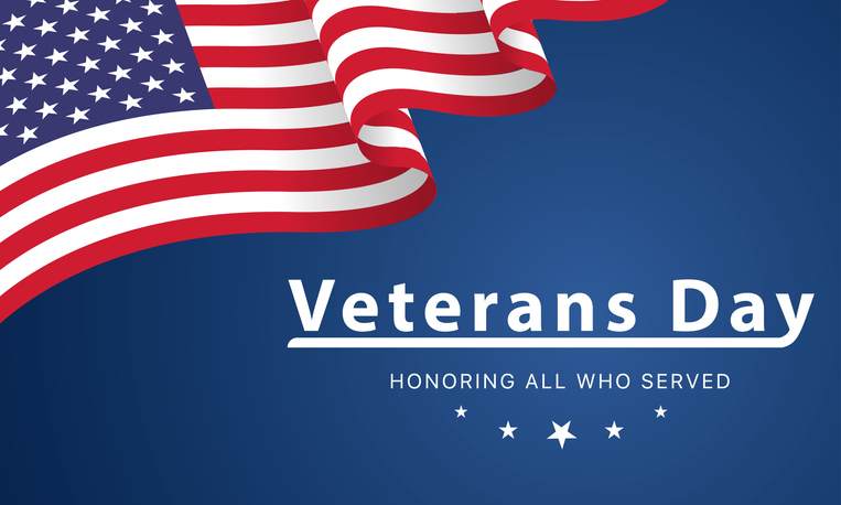 Hero image for Wise Giving Wednesday: Donating on Veterans Day