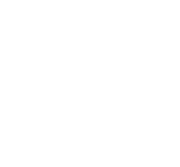 Icon_LinkedIn